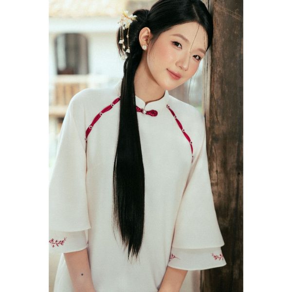 Áo dài TK hồ điệp-AD05-T9-25